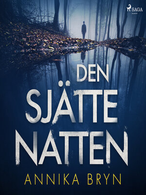 cover image of Den sjätte natten